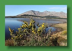Connemara (61)
